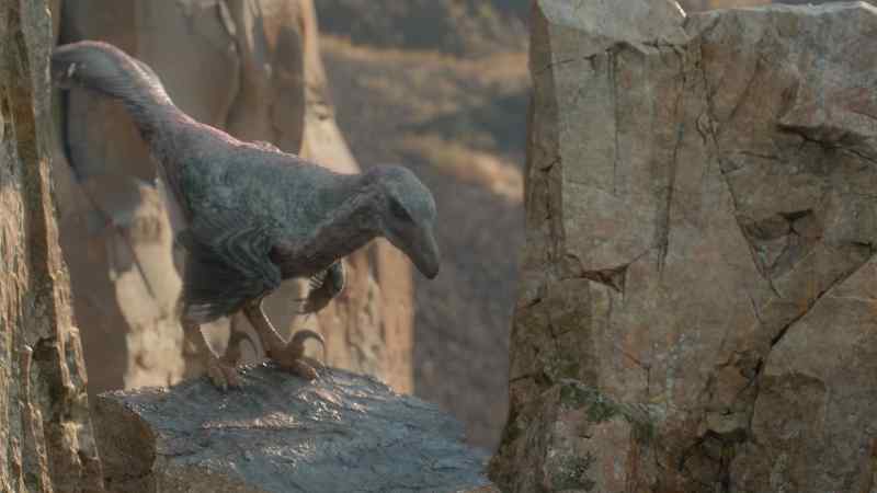 A type of dinosaur. Velociraptor