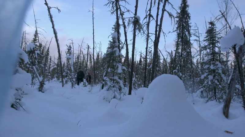 A typical bear hunt, we're sittin' up on a ridge and