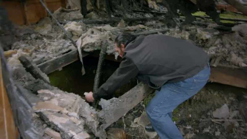A vast array of strange and paranormal creatures