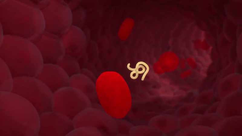 A virus doesn't just want to colonize that single host