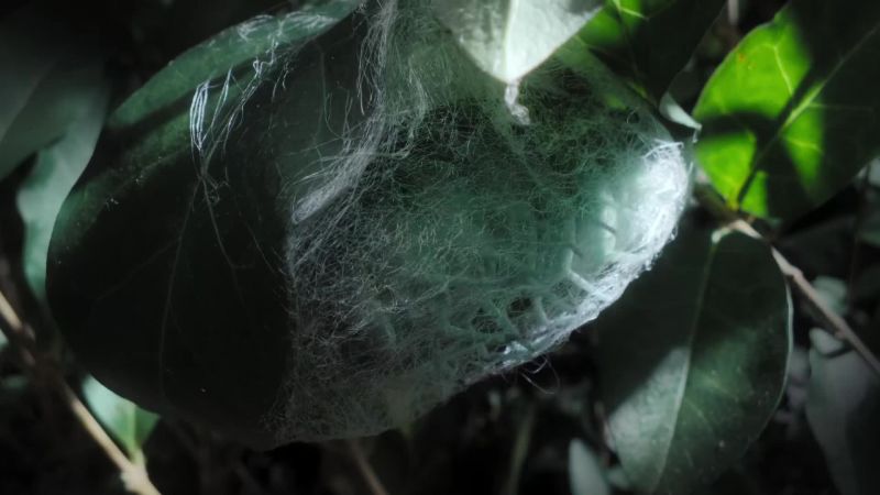 A waterproof cocoon