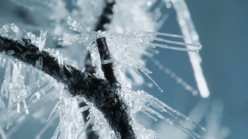 'A week later, the temperature plummets