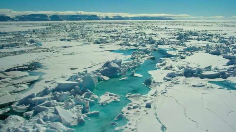 A white surface keeps the earth cool