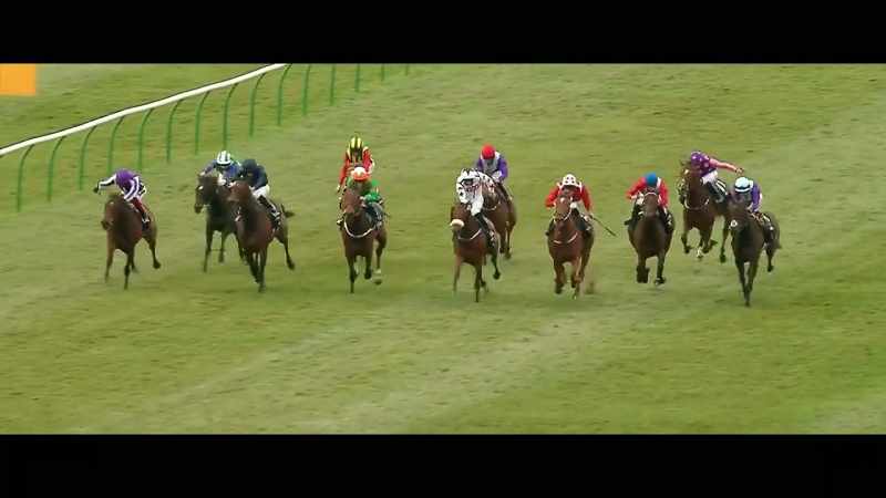 A wide open 1000 Guineas as they run down into the dip