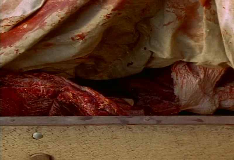 A wolf do that? - No, that wasn't a wolf!