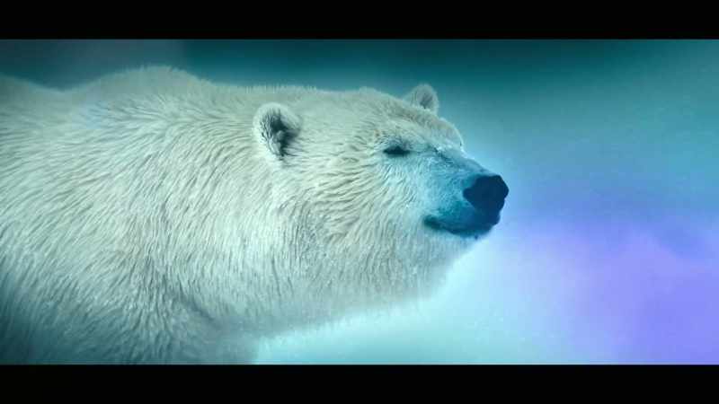 A world of extraordinary animals