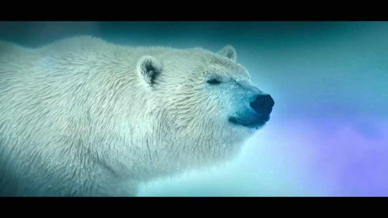 A world of extraordinary animals