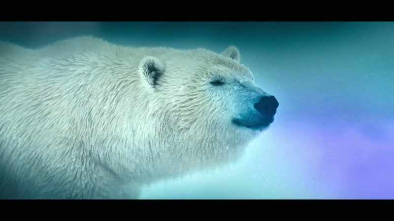 A world of extraordinary animals