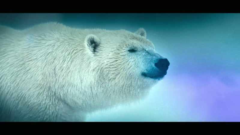 A world of extraordinary animals