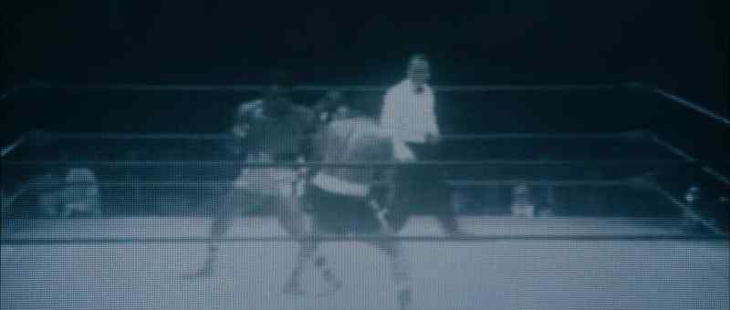 A writer like a boxer