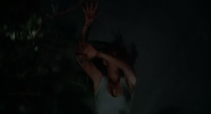 Aaah! Chris! Chris! Aaah! - Chris!