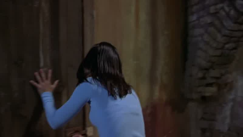 Aah! - Oh, Shorty! - Cindy!