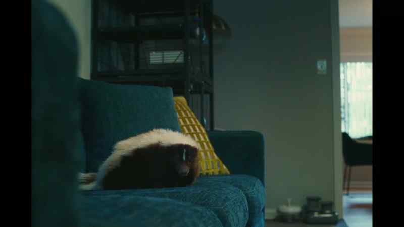 Aah! Who's there?