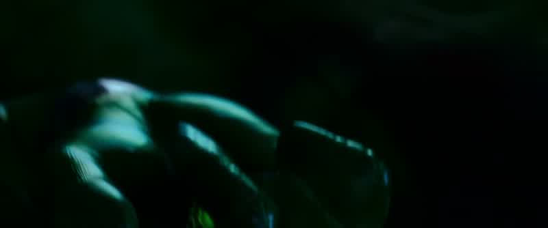 ABlN SUR The ringit chose youTake itPlace the ring in the lanternPlace the ring speak the oathWhat Great honor responsibility