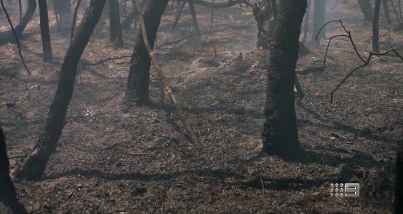 Aboriginal fire management practices are a just stark contrast
