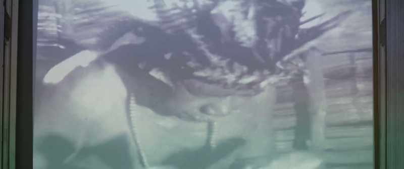 Aboriginal people use trances