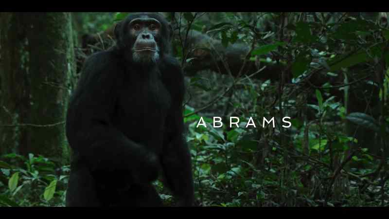 Abrams is here
