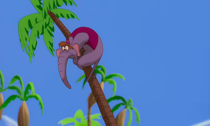 Abu, you look good
