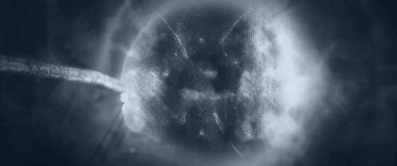 Accepting that an infinite number of universes exist