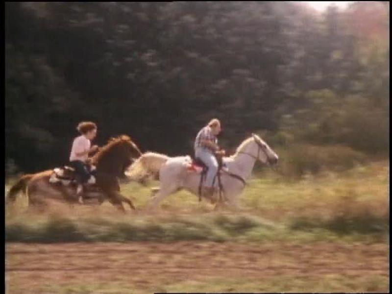 According to Dave, Shannon was not an experienced rider