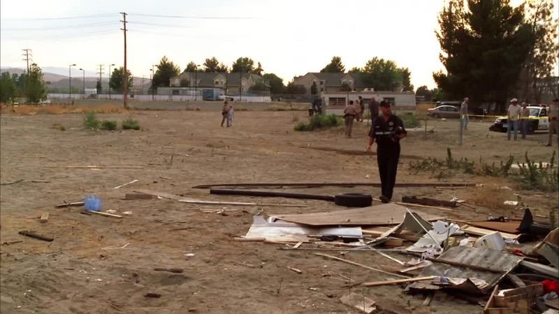 According to the garbageman, she ran up from this direction