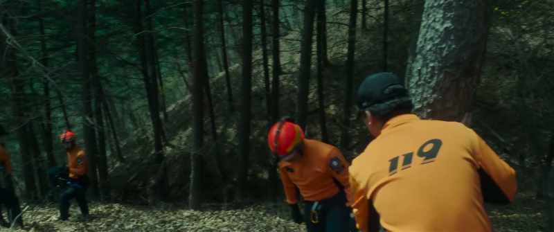 According to the police, the search may be extended