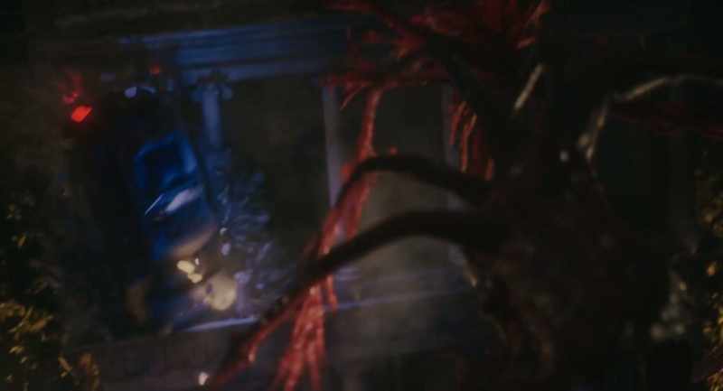 According to the records we found, Felicity Sullivan Mallari asked that