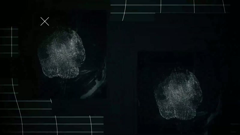According to the world's biggest report on homicide