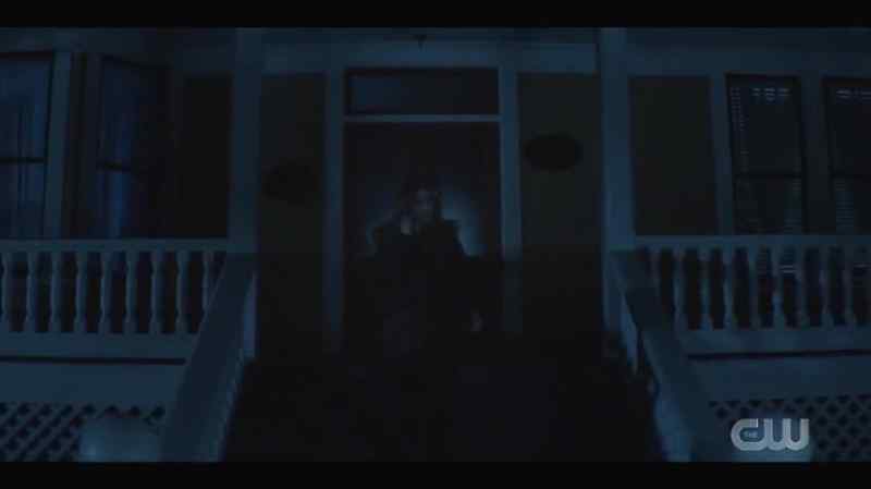 Ace and Bess are checking the attic