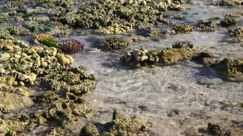 Aceste ochiuri izolate de apă au puţin oxigen