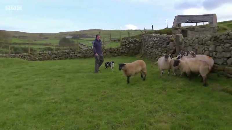 Ach, why are you following me?
