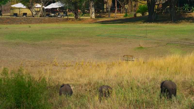 Across Africa
