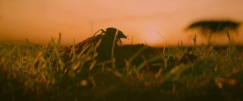 Across the Serengeti, energy is continually transformed…
