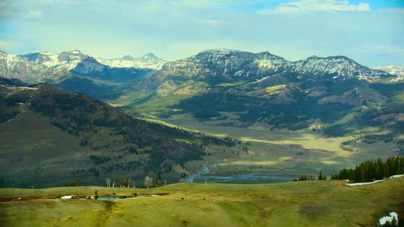 Active conservation is responsible for protecting