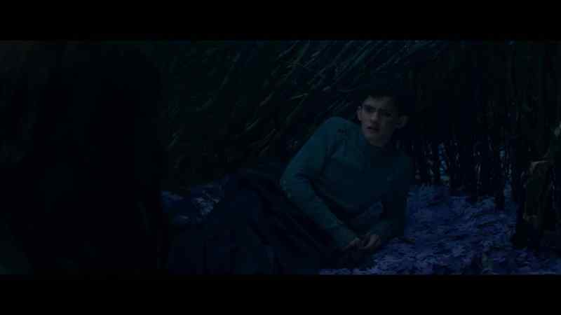 Actually, I wouldn't know. It works on the witch who cast it as well