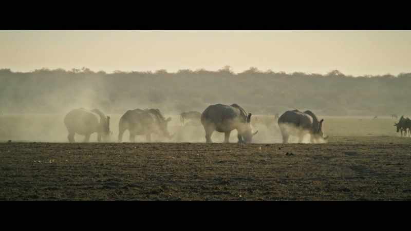 Actually, here in Botswana