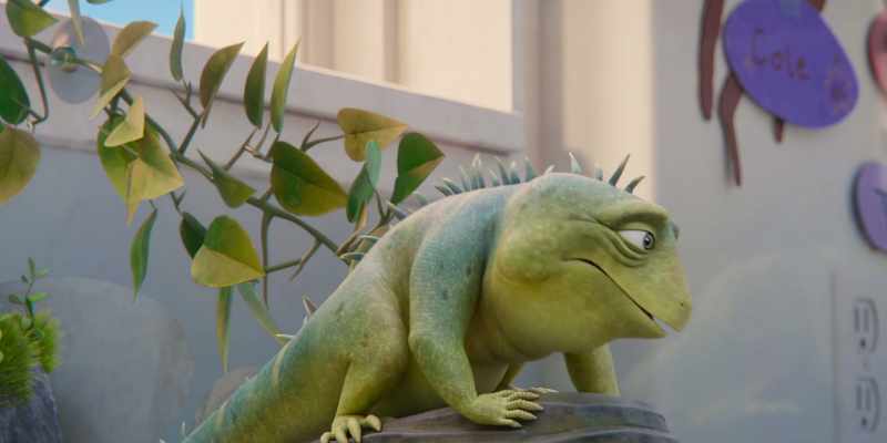 Addition… I… I gotta talk to some 2nd grade pets