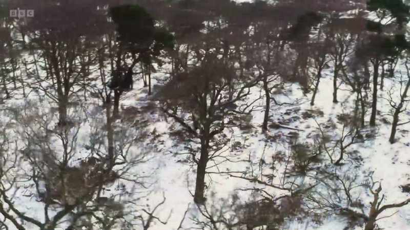 After a winter of dormancy