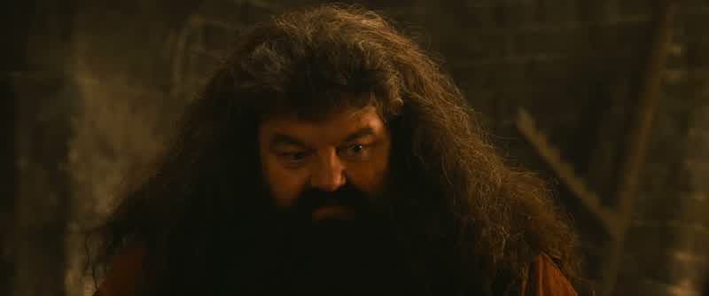 After all He Who Must Not Be Nameddid great thingsTerribleyes but great