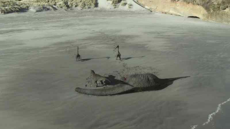 After all, two beaks are deadlier than one
