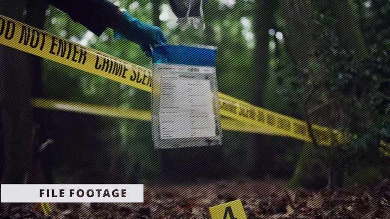 After an intense investigation, it is now clear