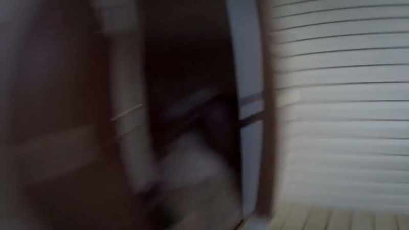 �After checking every apartment, and rescuing three pets