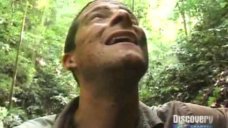 After entering so quickly in this jungle