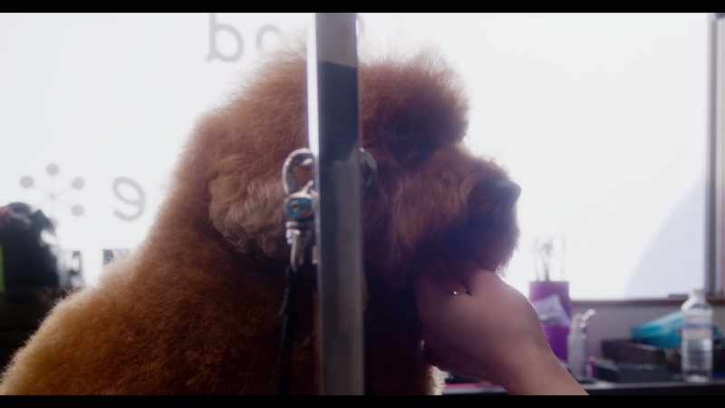 After grooming