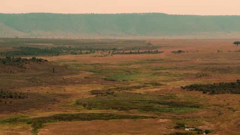 After just a few calls across the empty savanna