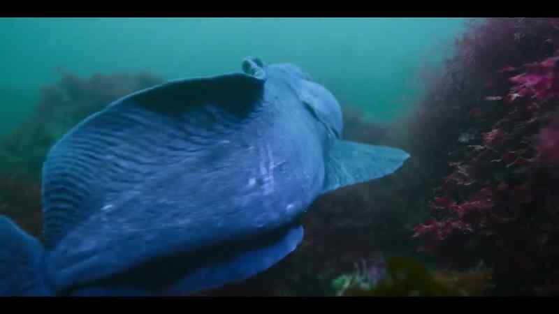 After mating, she ghosts her lover, laying her eggs and promptly dumping him