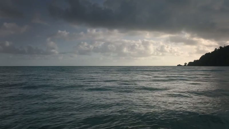 'After nesting, leatherbacks return to the sea