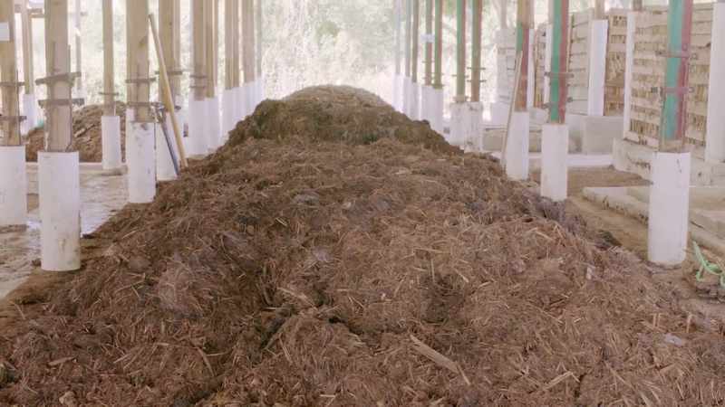 After six to seven months, it becomes compost
