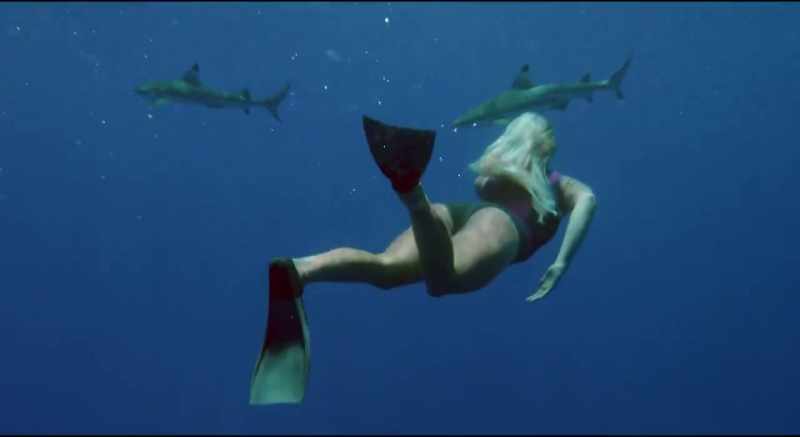 After surviving a shark attack