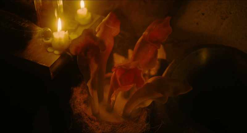 After that, the soup would kill a mountain troll